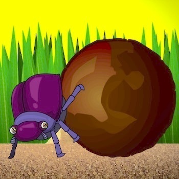 Dung Beetle Derby